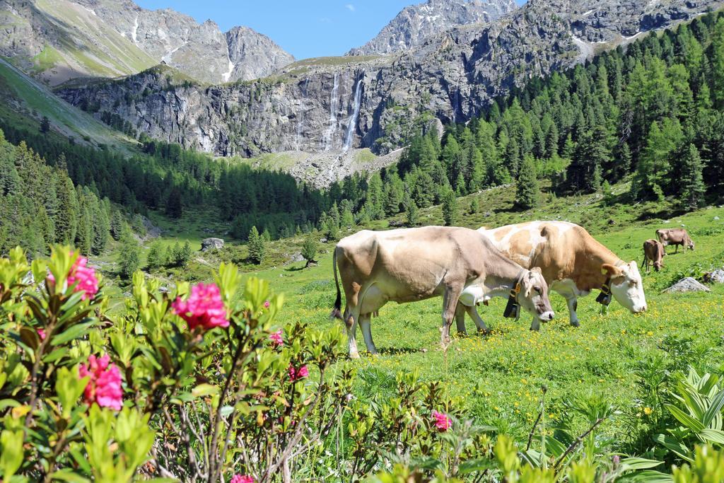 Chalet Tschallener Рид-им-Оберинталь Экстерьер фото